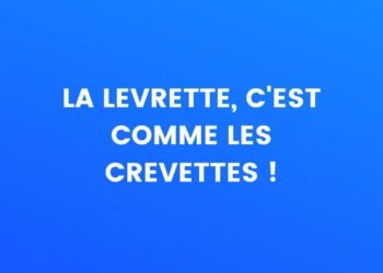 la levrette c'est comme les crevettes !