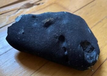 Le rocher qui s'est écrasé dans la maison du New Jersey pourrait être un morceau de la comète de Halley vieux de 5 milliards d'années
