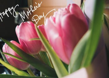 Dimanche avec des onglets le chat, mascotte de blog de maquillage et de beauté, Vol.  761