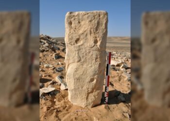 Des gravures rupestres vieilles de 8 000 ans en Arabie pourraient être les plus anciens plans de mégastructure du monde