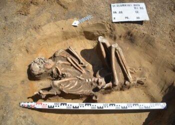 Un squelette de 7 000 ans parfaitement conservé découvert lors d'une rénovation en Pologne