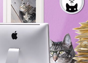 Dimanche avec des onglets le chat, mascotte de blog de maquillage et de beauté, Vol.  762