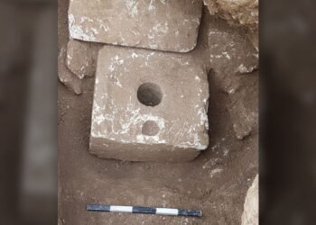 Le caca vieux de 2 500 ans des toilettes de Jérusalem contient la plus ancienne preuve de parasite de la dysenterie