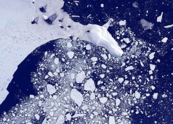 Les courants antarctiques alimentant 40 % de l'océan profond mondial en nutriments et en oxygène ralentissent considérablement