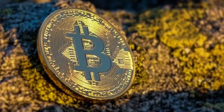 Les ordinaux Bitcoin franchissent la barre des 7 millions, les initiés indiens du Web3 disent que les NFT sont là pour rester – Thebuzzly