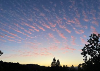 Surf du samedi 20 mai 2023 !