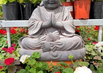 Surf du samedi 6 mai 2023 !