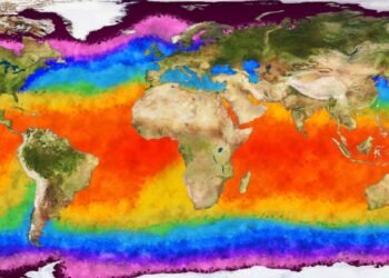 Un événement El Niño significatif est presque garanti cette année, avertissent les experts.  Et ça pourrait être un gros.