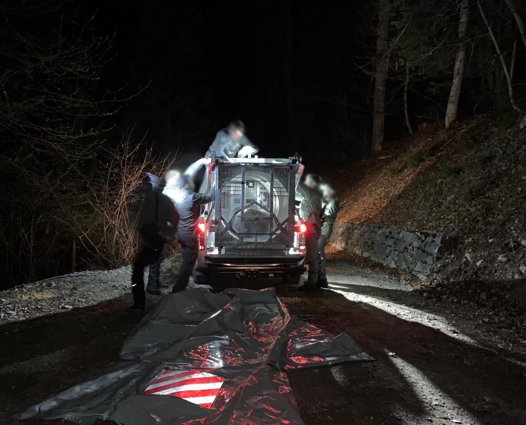 ours brun jj4 à l'intérieur d'un piège la nuit trentino