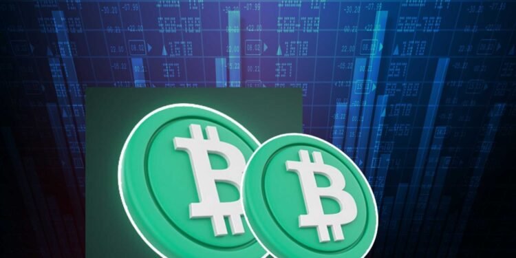 Bitcoin Cash Price (BCH) revient dans la zone d'achat à 100 $