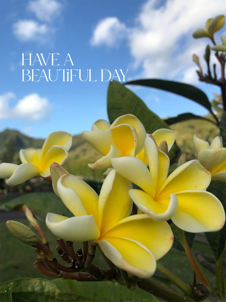 Blog maquillage et beauté Sondage du lundi Vol Blog maquillage et beauté Sondage du lundi, Vol. 787