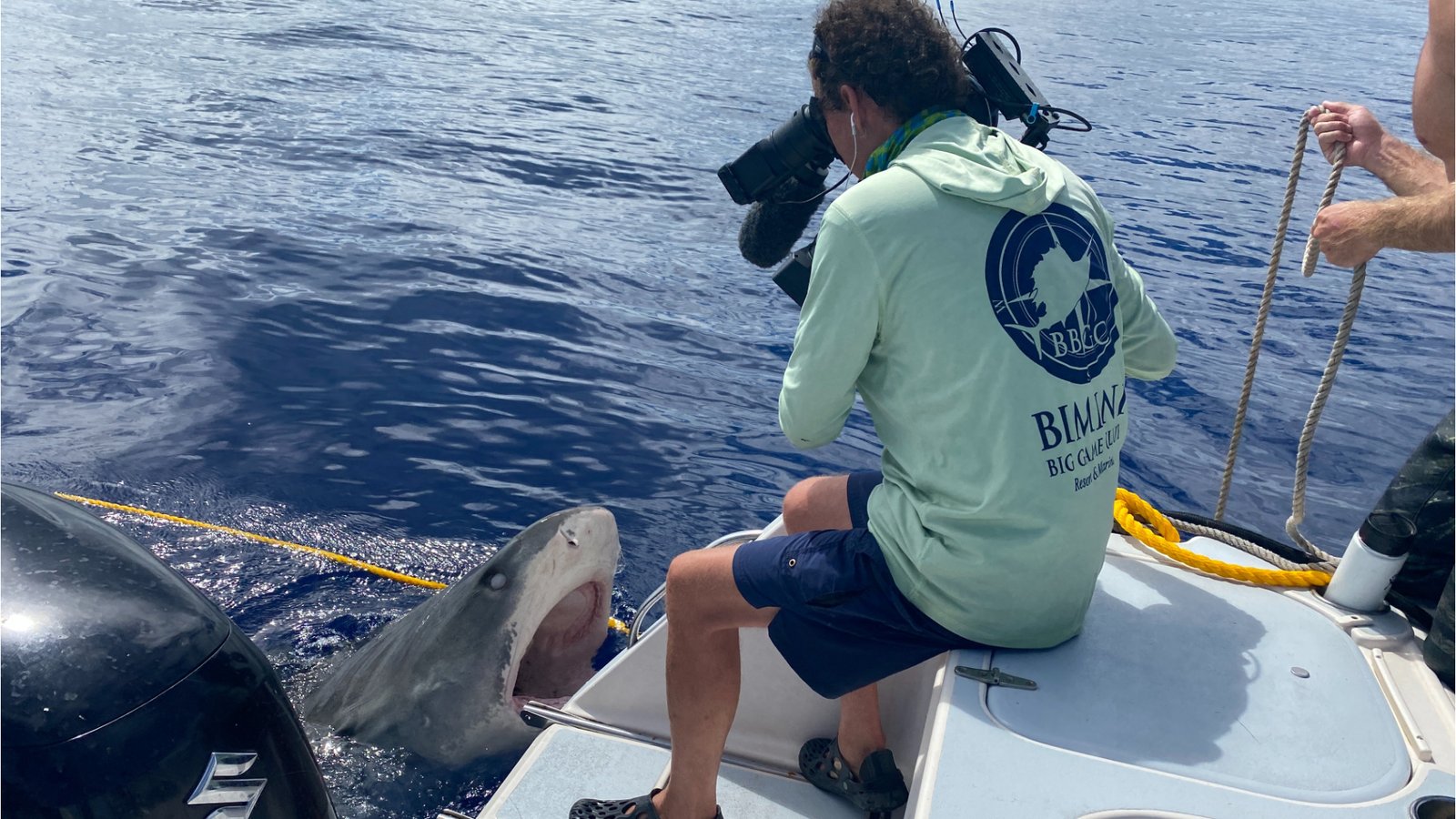 Sharkano : Hawaï - Fête des requins 2023