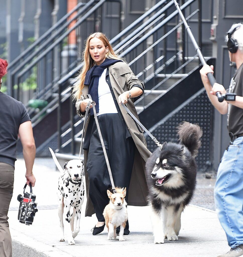 Jennifer Lawrence se dispute avec des chiens dans les rues de New York et continue d'être magnifique – Thebuzzly