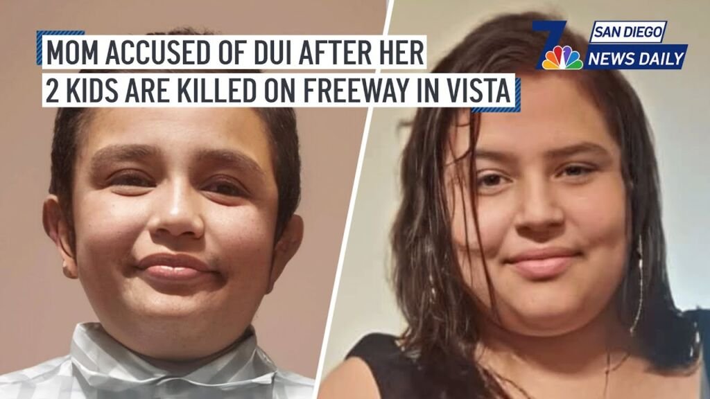 Mom charged with DUI after children killed running onto California highway to get luggage FULL STORY > Mom charged with DUI after children killed running onto California highway to get luggage