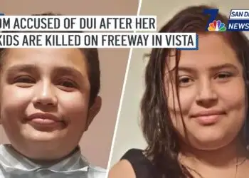 FULL STORY > Mom charged with DUI after children killed running onto California highway to get luggage
