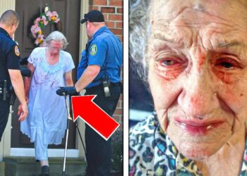 Elderly Woman Pays For Homeless Man’s Groceries, Gets Arrested Next Day 