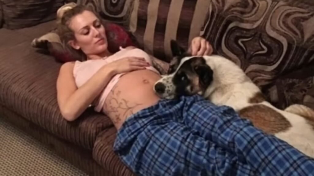 Pregnant Woman’s Dog Wouldn’t Stop Barking At Her Belly Then She Realized It Was Trying To Warn Her – Thebuzzly