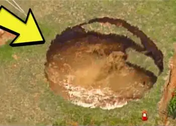 Huge Sinkhole in Elderly Couples Backyard Led To Amazing Discovery About Their House - Real Story