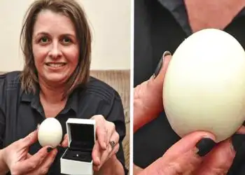 When This Woman Bit Into An Egg And Felt Something Hard, She Was Blown Away By The Object Inside