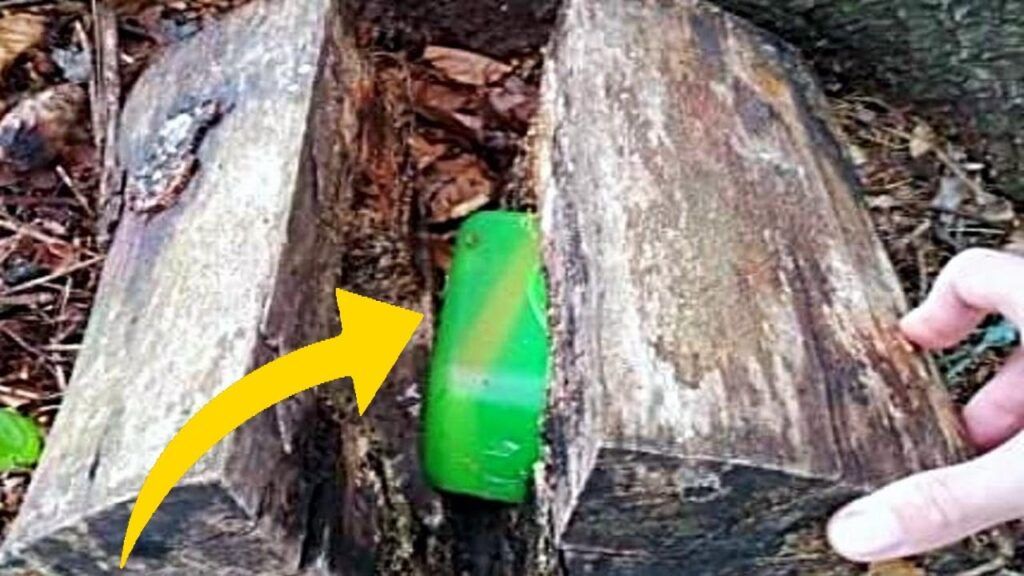 Ex Police Dog Keeps Barking At Tree, Dad Finds A Lot More Than Wood Inside – Thebuzzly