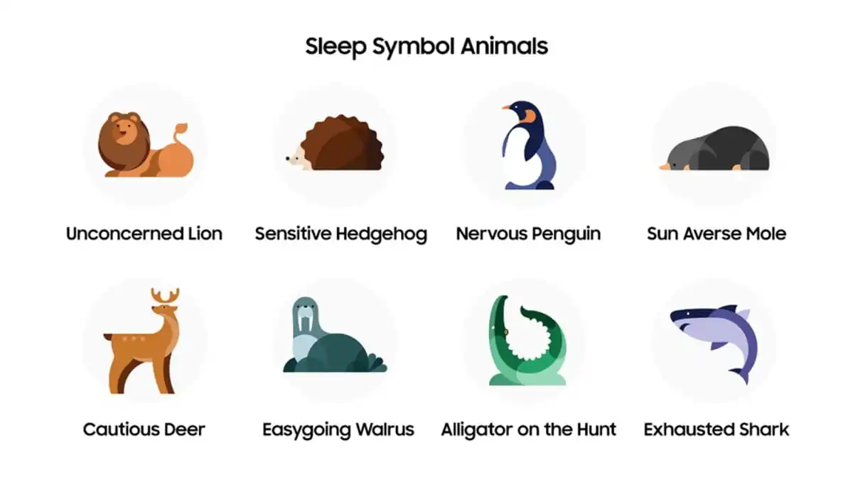 Samsung Galaxy Watch 4 Series Nouvelle mise à jour symbole de sommeil Samsung Galaxy Watch 4 symboles de sommeil