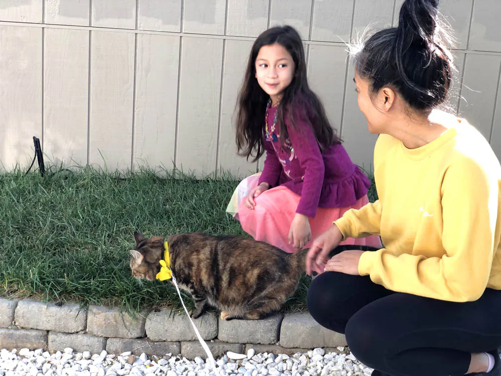 Sundays With Tabs the Cat, Makeup and Beauty Blog Mascotte, Vol. 708