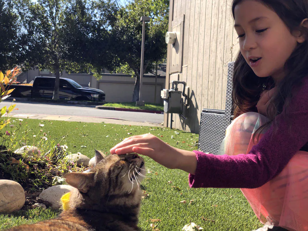 Sundays With Tabs the Cat, Makeup and Beauty Blog Mascotte, Vol. 708