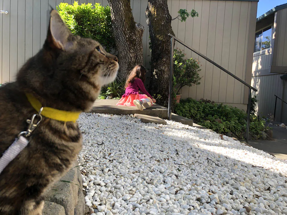 Sundays With Tabs the Cat, Makeup and Beauty Blog Mascotte, Vol. 708