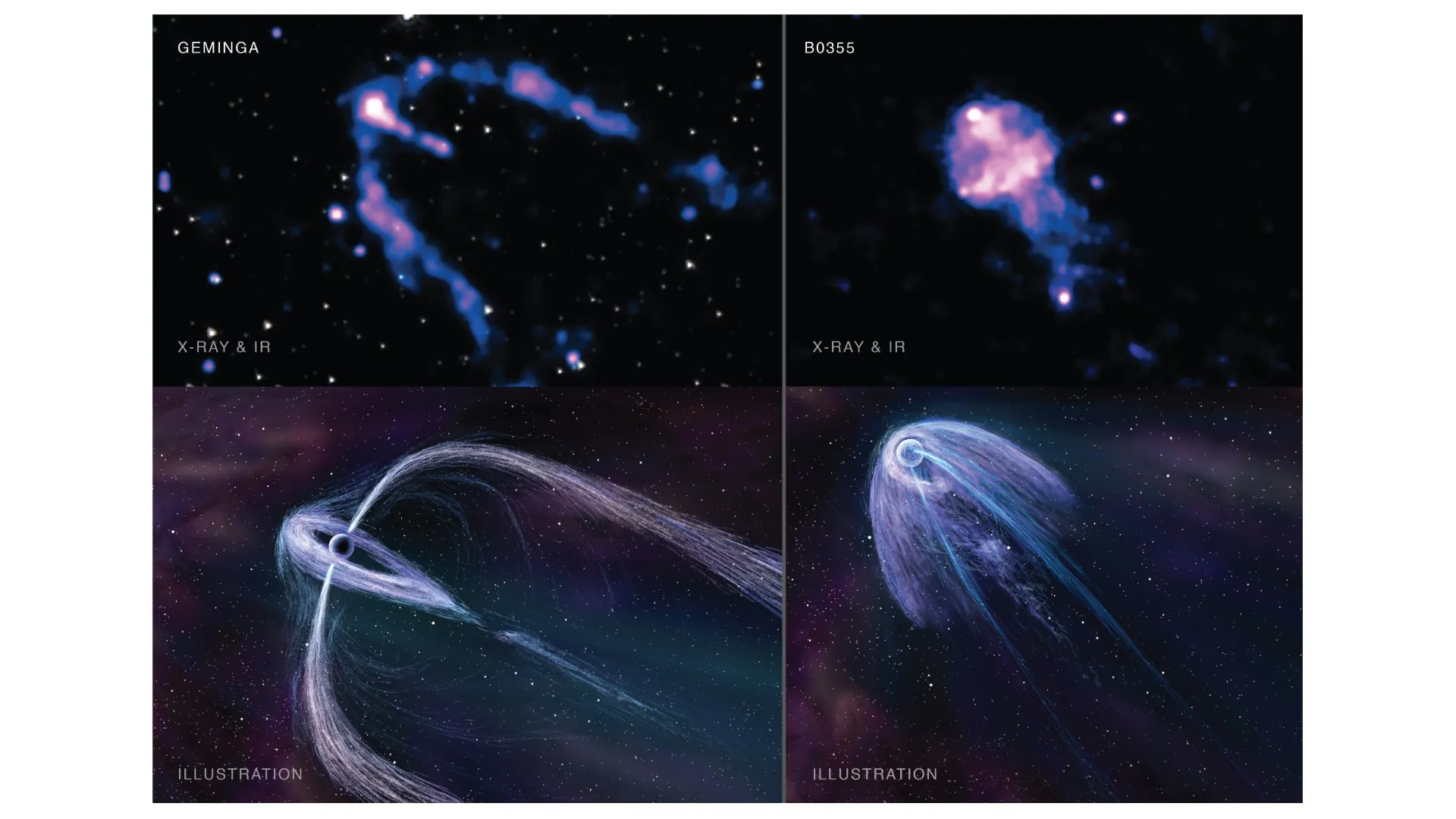 Ce graphique à quatre panneaux montre les deux pulsars observés par Chandra.  Geminga est en haut à gauche et B0355+54 est en haut à droite.  Dans ces deux images, les rayons X de Chandra, colorés en bleu et violet, sont combinés aux données infrarouges du télescope spatial Spitzer de la NASA qui montre les étoiles dans le champ de vision.  Sous chaque image de données, une illustration d'artiste donne plus de détails sur ce à quoi les astronomes pensent que la structure de chaque nébuleuse du vent pulsar ressemble.