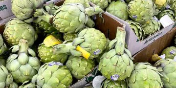 Bon vendredi! De quoi êtes-vous reconnaissant?