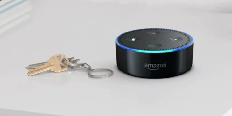 How Amazon Alexa Continues to Learn About India
