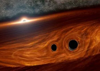 Eight New Echoing Black Hole Binaries Discovered in Our Galaxy: MIT Researchers