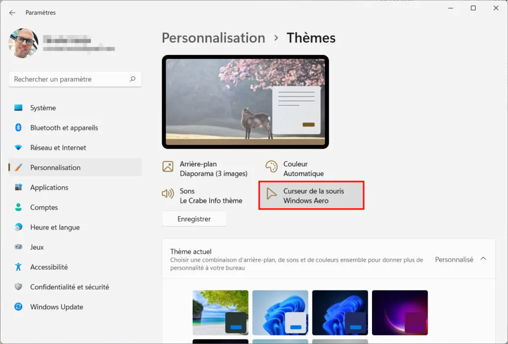 Windows 11 Personnaliser thème - Curseur de la souris