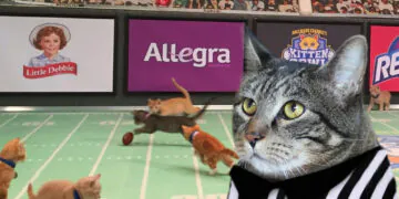 1655702543 Dimanche Avec Des Onglets Le Chat Mascotte De Blog De