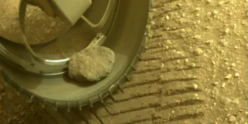 Le rover Persévérance adopte accidentellement le "pet rock" de l'auto-stop