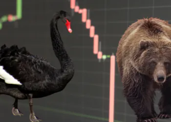 Les cygnes noirs, les grizzlis et les périls de l'action des prix.  Comment le risque peut être géré en chaîne - CryptoMode