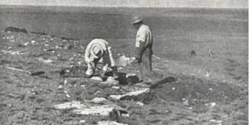 Un « trésor » fossile perdu redécouvert après 70 ans