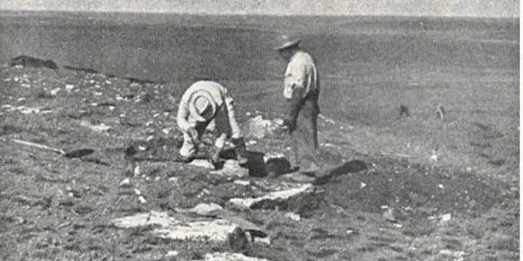 Un « trésor » fossile perdu redécouvert après 70 ans