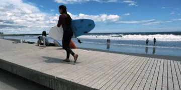 Les plages de New York sont brièvement fermées pour la baignade après de « multiples » observations de requins