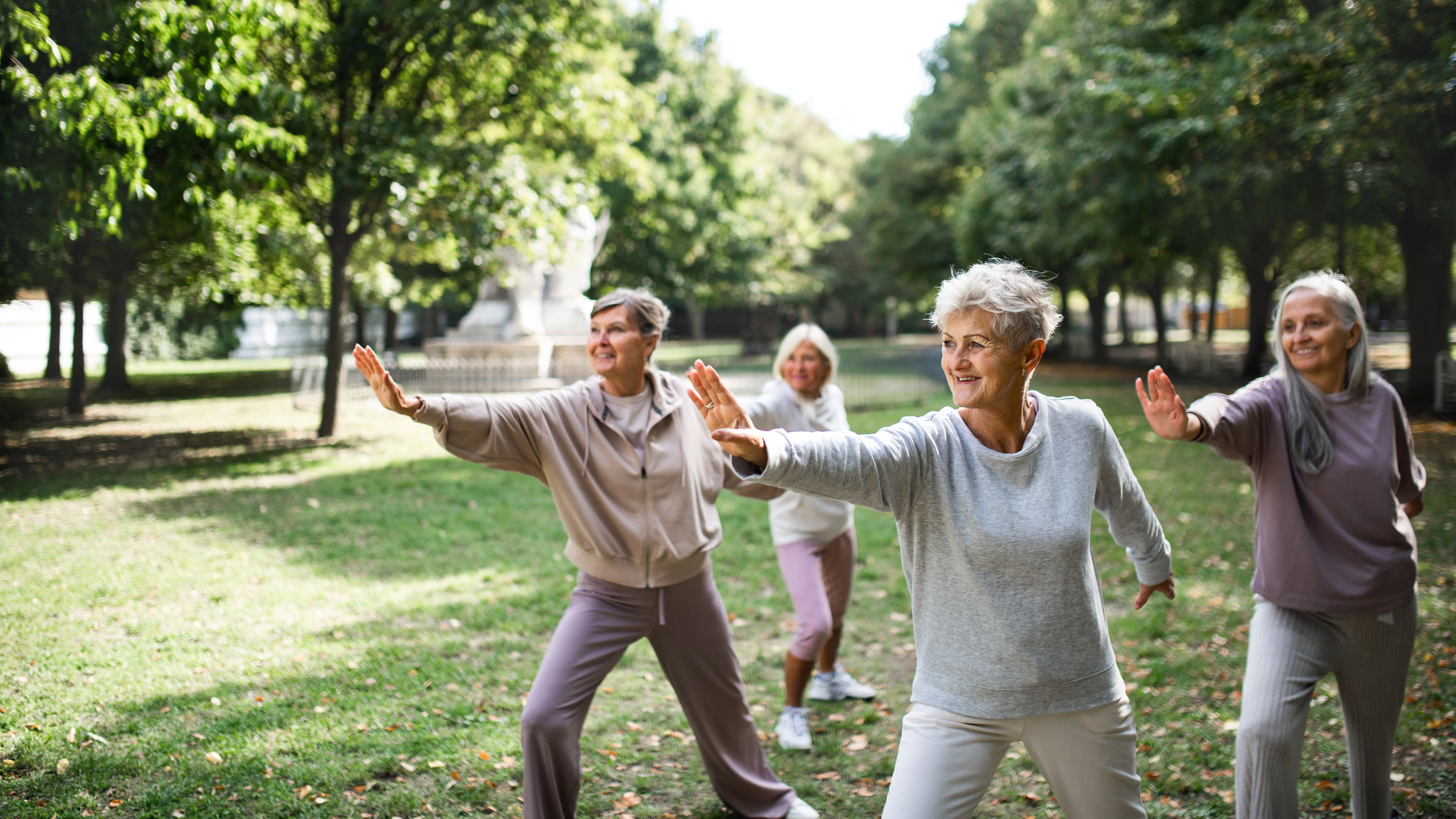 Femmes pratiquant le tai chai dans le parc