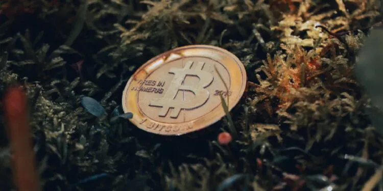 Bitcoin Rises to Recapture the $20,300 Mark While Polygon, Uniswap Sees Major Gains