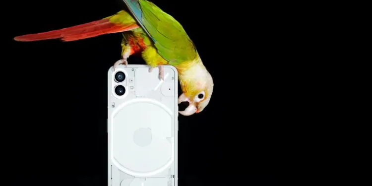 Nothing Phone 1 Global Launch Today: How to Watch Livestream, Expected Price, Specifications