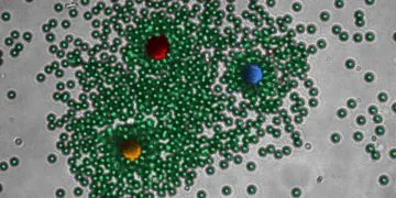Life-Like Self-Organising Laser Can Mimics Living Materials, Reconfigures in Changing Conditions