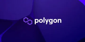 Polygon Integre Lhote De Projets Terra Qui Vident Le Reseau