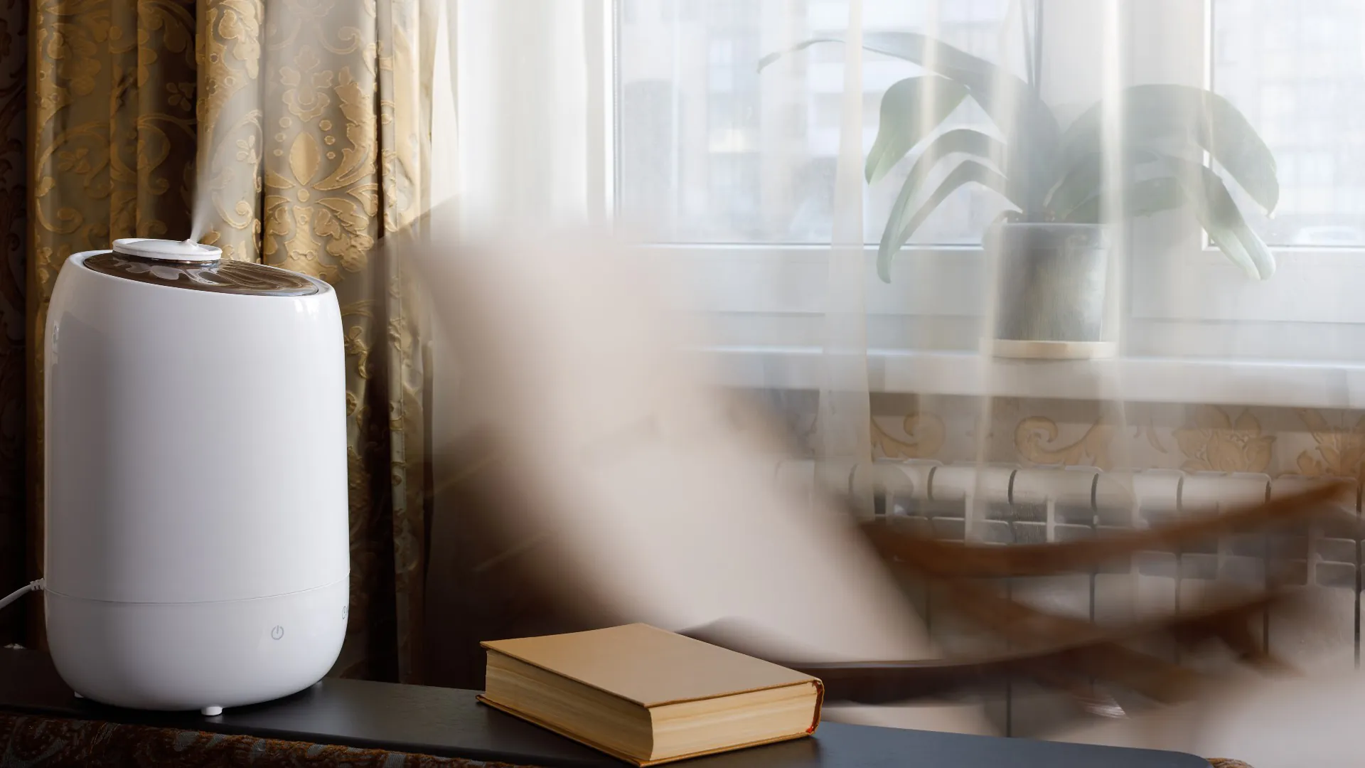 comment acheter un humidificateur ce premier jour