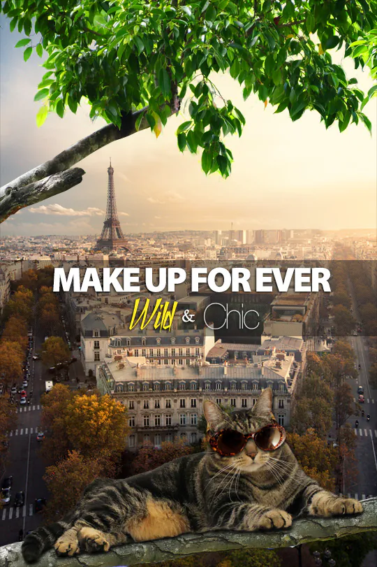 Dimanche avec des onglets le chat, mascotte de blog de maquillage et de beauté, Vol.  723