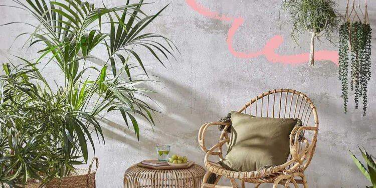 L’image peut contenir : meubles, chaise, décoration d’intérieur, tapis, design d’intérieur, intérieur et plante