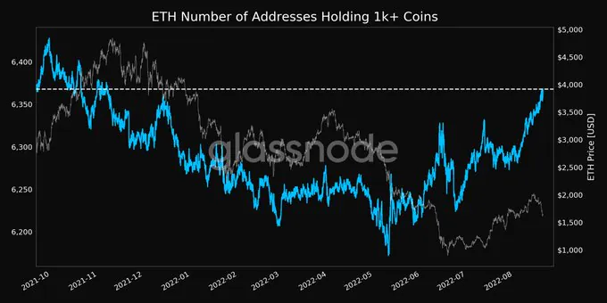 Les baleines continuent d'empiler des Bitcoins complets et des soldes de 1 000 ETH - CryptoMode