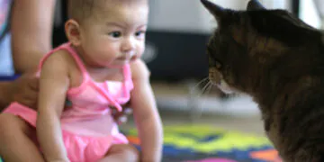 Dimanche avec des onglets le chat, mascotte de blog de maquillage et de beauté, vol.  727
