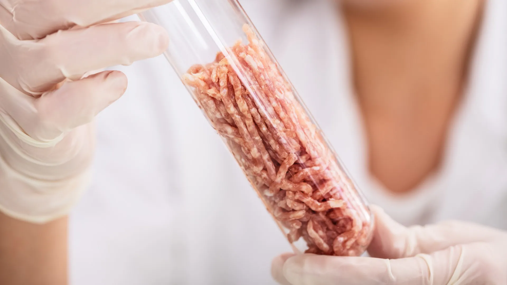 Scientifique examinant la viande cultivée en laboratoire dans un tube à essai